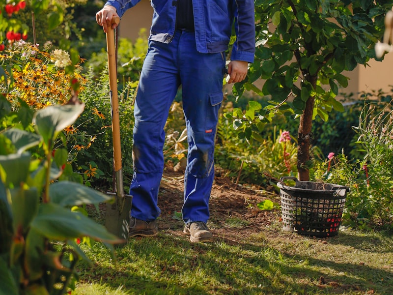 A landscaper in work clothes digging with a shovel